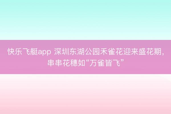 快乐飞艇app 深圳东湖公园禾雀花迎来盛花期,串串花穗如“万雀皆飞”