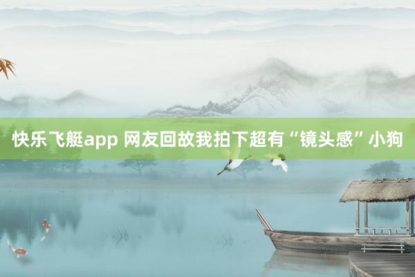 快乐飞艇app 网友回故我拍下超有“镜头感”小狗