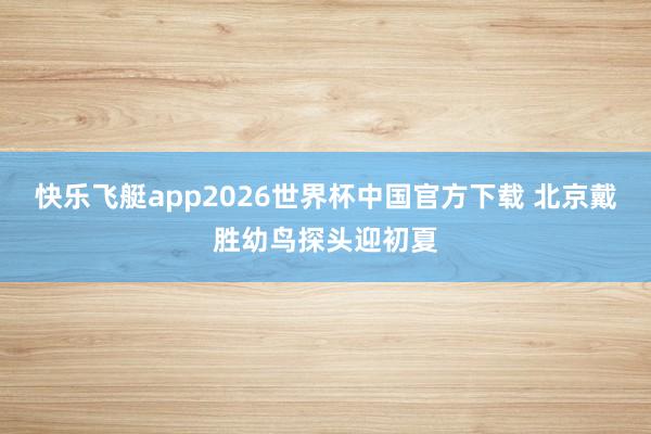 快乐飞艇app2026世界杯中国官方下载 北京戴胜幼鸟探头迎初夏