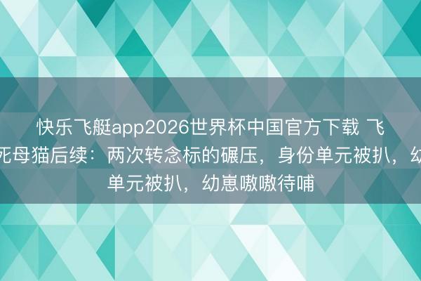 快乐飞艇app2026世界杯中国官方下载 飞驰车特意碾死母猫后续：两次转念标的碾压，身份单元被扒，幼崽嗷嗷待哺