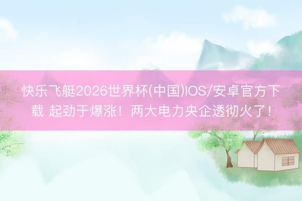 快乐飞艇2026世界杯(中国)IOS/安卓官方下载 起劲于爆涨！两大电力央企透彻火了！